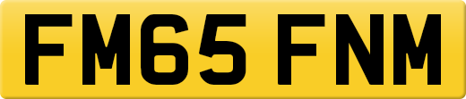 FM65FNM